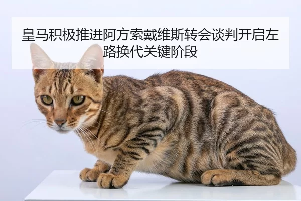 皇马积极推进阿方索戴维斯转会谈判开启左路换代关键阶段