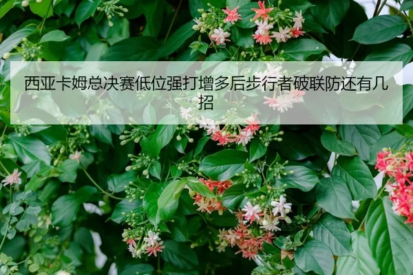 西亚卡姆总决赛低位强打增多后步行者破联防还有几招