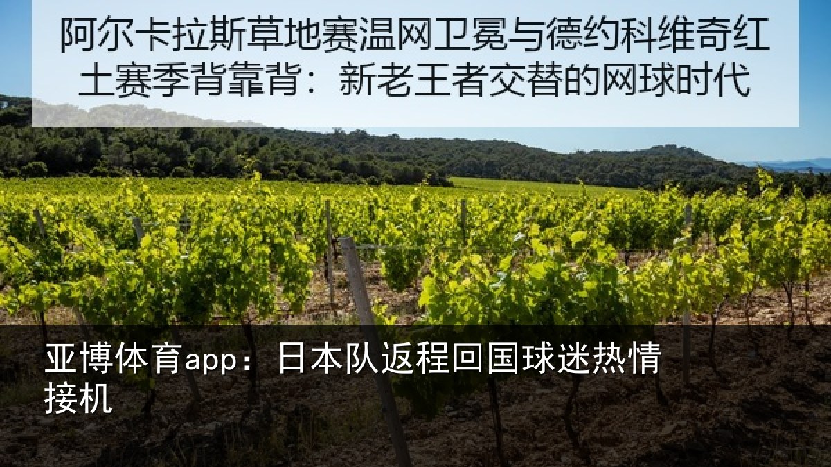 亚博体育app:日本队返程回国球迷热情接机
