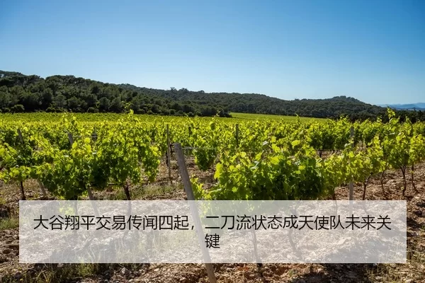大谷翔平交易传闻四起，二刀流状态成天使队未来关键